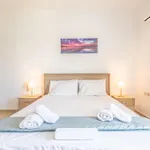 Urban Apt Next University 4